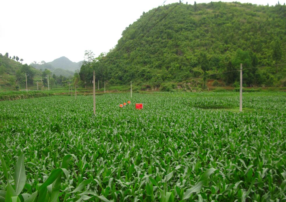 贵州有机肥厂家